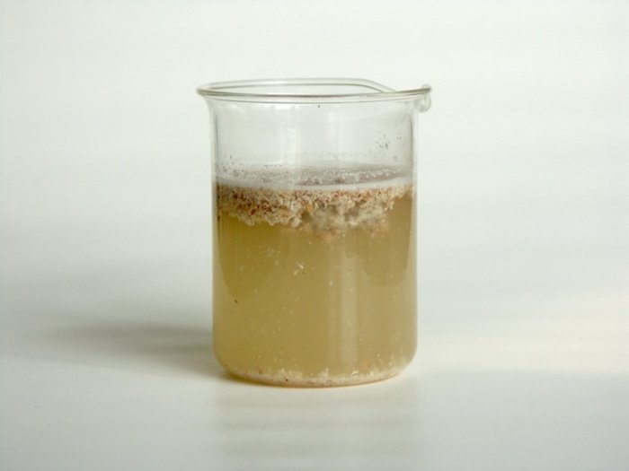 Im Wasserglas ist eine braune Flüssigkeit, am Boden sind einzelne Bröckchen zu sehen, an der Oberfläche schwimmen viele braune Bröckchen und eine weiße Schicht.