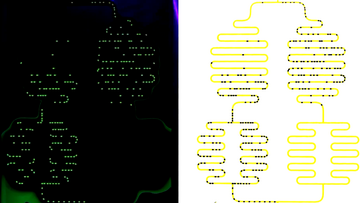 Das Bild zeigt links eine Aufnahme und rechts eine Simulation der Wassertropfen in der künstlichen Blutbahn.