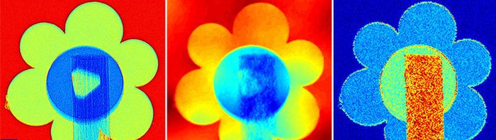 Durchleuchtete Spielzeugblume