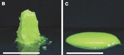 Gel aus Flüssigkristallen