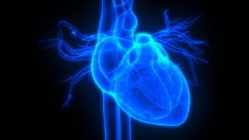 Blaue dreidimensionale Aufnahme eines Herzes auf schwarzem Hintergrund