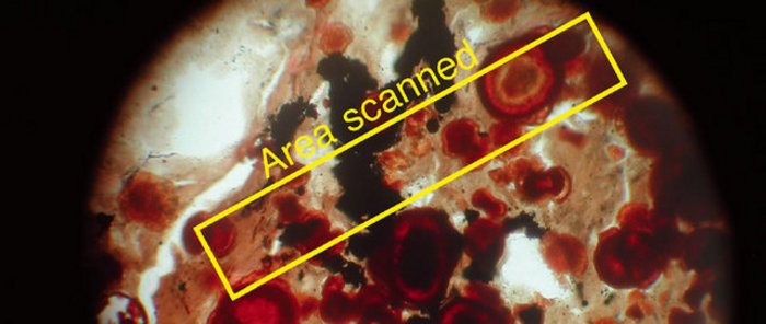 Bohrkern Eine kreisförmige Fläche, deren Farben im Braunroten changieren. In der Mitte ist ein Bereich mit den Worten Area scanned markiert.