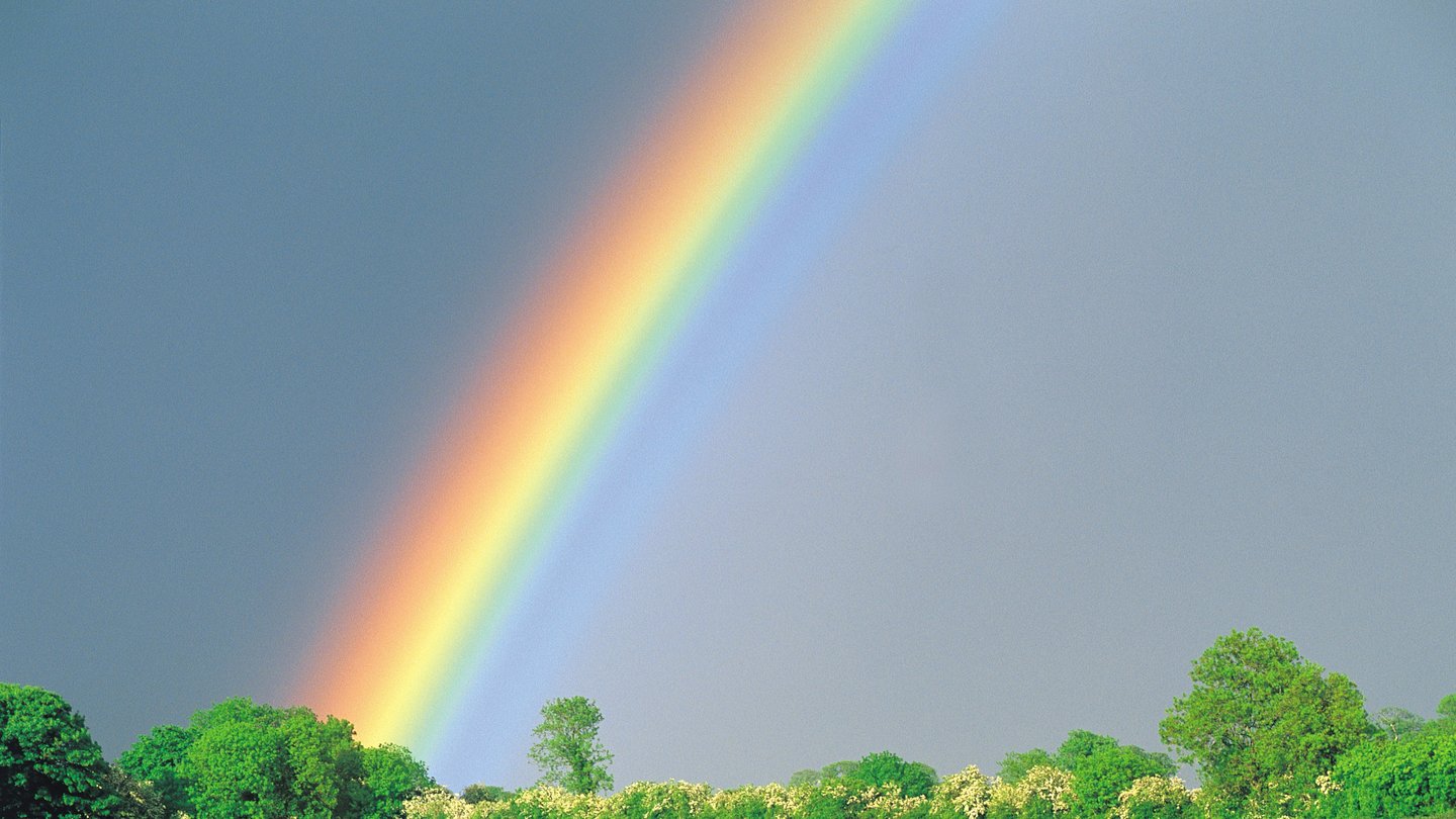 Welt der Physik: Wie entsteht ein Regenbogen?