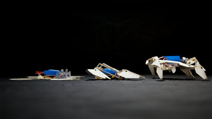 Mini-Roboter können sich ohne Menschenhilfe aus einem dünnen Blatt zusammenfalten und tätig werden.