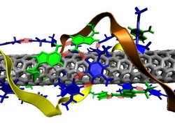 DNA-Stränge umhüllen Nanoröhrchen aus Kohlenstoff
