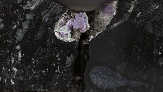 Foto eines Querschnitt durch einen Bohrkern: In schwarzem Gestein befinden sich hellgraue, glänzende Einschlüsse