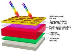 Diagramm mit den fünf Schichten in der Übersicht, mit Pfeilen ist das Sonnenlicht dargestellt, das von oben auf die Zellen trifft. 