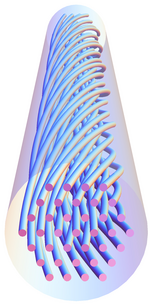 Computergrafik, die den Aufbau des neuartigen Lichtleiters zeigt