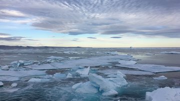 Mehrere Eisschollen auf dem Meer
