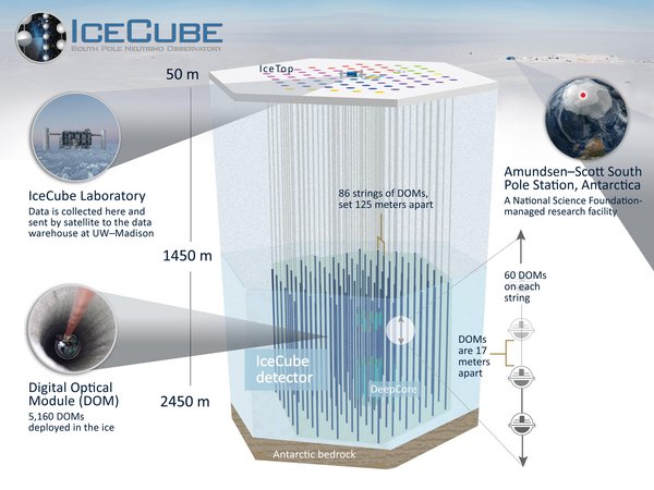 Infografik des IceCube Collaboration-Neutrinoobservatoriums am Südpol. Dargestellt ist ein riesiger würfelförmiger Bereich tief im antarktischen Eis, der den eigentlichen IceCube Neutrino Observatory-Detektor zeigt. Von der Oberfläche reichen 86 senkrechte Kabelstränge bis in Tiefen zwischen etwa 1450 und 2450 Metern. An jedem Strang befinden sich zahlreiche kugelförmige optische Sensoren (DOMs), insgesamt über 5000 Stück, die im Eis verteilt sind. Oben auf der Eisoberfläche ist zusätzlich das Messfeld „IceTop“ eingezeichnet. Rechts oben zeigt eine kleine Weltkugel die Lage des Observatoriums am geografischen Südpol in der Antarktis. Links sind Fotos des Forschungslabors und eines Sensors beim Einsetzen in ein Bohrloch zu sehen. Die Grafik verdeutlicht Größe, Tiefe und Aufbau des unterirdischen Detektors im Eis.