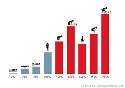 Die Werte des Diagramms lauten: zwischen 7 und 25 Prozent beim Liegen, 35 Prozent bei hochgelegten Beinen. Bücken führt zu 150 Prozent des Bandscheiben-Innendrucks beim Stehen, das Aufheben eines 5 Kilogramm schweren Gewichts schon zu 220 Prozent. Normales Sitzen macht 140 Prozent aus, gebücktes Sitzen 185 Prozent und das Aufheben eines 5-Kilo-Gewichts aus dem Sitzen heraus ergibt 275 Prozent.