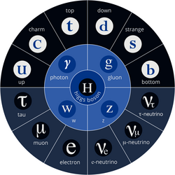 Die Abbildung zeigt eine Übersicht über alle Teilchen im Standardmodell der Teilchenphysik.