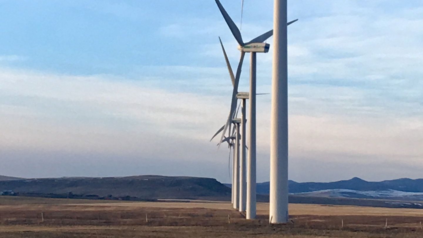 Welt der Physik Aus dem Wind gedreht