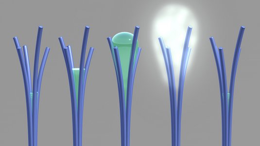 Blaue Nanodrähte in einer Reihe, in derem Inneren sich Wasser ansammelt, zu einer Blase anwächst und schließlich wieder kondensiert.