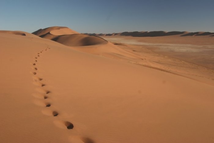 Wüste Namib