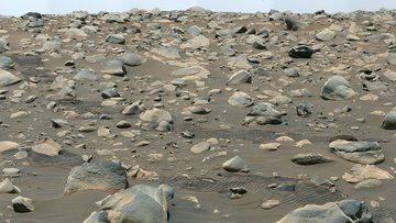 Felsbrocken auf wüster Oberfläche, in der Mitte Reifenspuren