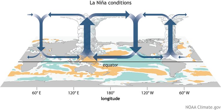 Schematische Darstellung der atmosphärischen Zirkulation während eines La-Niña-Ereignisses. Die Grafik zeigt die Erde mit dem Äquator und Längengraden. Große blaue Pfeile veranschaulichen die globale Luftzirkulation: Über dem westlichen tropischen Pazifik steigt warme, feuchte Luft auf und bildet intensive Gewitterwolken, während über dem östlichen Pazifik verstärkt Luft absinkt. Die bodennahen Passatwinde entlang des Äquators wehen kräftig von Ost nach West und verstärken die Walker-Zirkulation. Farbige Flächen auf den Ozeanen markieren Abweichungen der Meeresoberflächentemperatur: türkisfarbene Bereiche kennzeichnen unterdurchschnittlich kaltes Wasser, das sich über den zentralen und östlichen tropischen Pazifik ausbreitet, während orangefarbene Bereiche überdurchschnittlich warmes Wasser anzeigen. Die Darstellung verdeutlicht die verstärkte Walker-Zirkulation und die Verlagerung von Konvektion und Niederschlag in den westlichen Pazifik während La Niña.