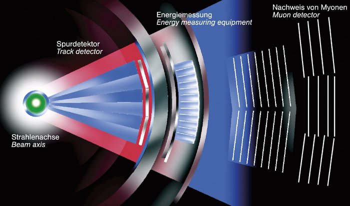 Schematischer Querschnitt durch die verschiedenen Schichten eines zylinderförmigen Detektors für Elementarteilchen. Von innen nach außen: Strahlachse, Spurdetektor, Energiemessung sowie ganz außen Nachweis von Myonen.