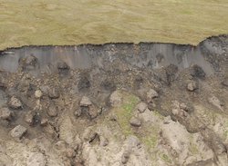 Foto. Aufriss des Erdbodens. Oberfläche ist mit Flechten bewachsen, darunter befindet sich grauer Permafrost, darunter Steine.