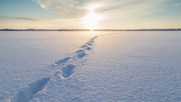 Das Foto zeigt eine Winterlandschaft. In einer ansonsten unberührten Schneedecke sind Fußstapfen zu erkennen.