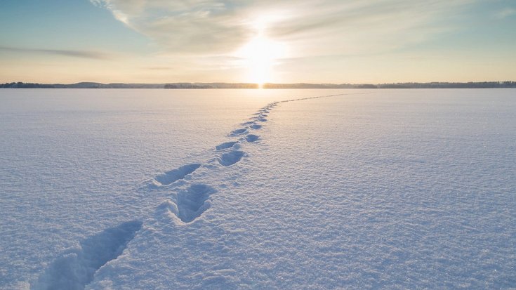 Das Foto zeigt eine Winterlandschaft. In einer ansonsten unberührten Schneedecke sind Fußstapfen zu erkennen.