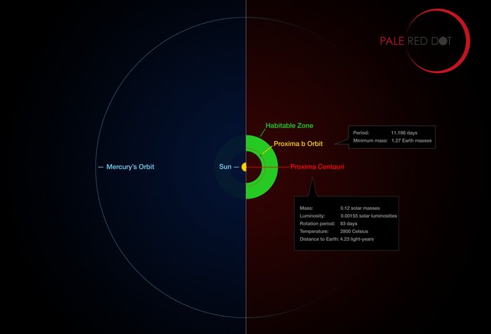 Der Orbit von Proxima b um den Stern Proxima Centauri wird verglichen mit dem Orbit von Merkur um die Sonne. Es lässt sich erkennen, dass Proxima b viel näher dran ist, sich aber auch in der habitablen Zone befindet.