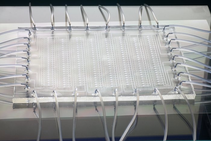 Prototyp des Chemiechips Durchsichtige, rechteckige Kunststoffplatte, an deren Rändern zahlreiche Schläuche befestigt sind. In der Platte ist ein enges Geflecht aus weißlichen Kanälen zu sehen.