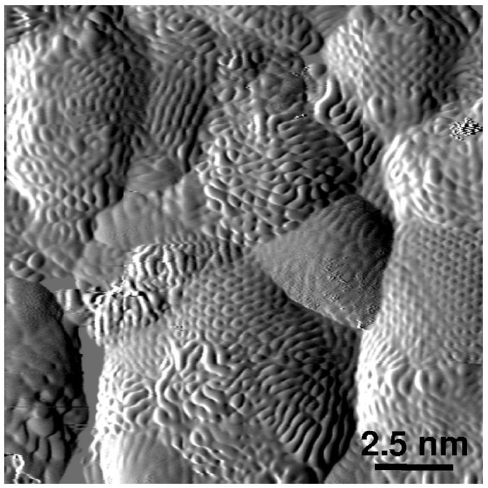 Zu sehen ist ein etwa 13 mal 13 Nanometer großer Ausschnitt der Oberfläche eines Nanodiamanten aufgenommen mit einem Rastertunnelmikroskop. Man erkennt mehrere große Inseln, die mit kleinen teils schlangenartigen, teils strickmusterartigen Strukturen bedeckt sind.