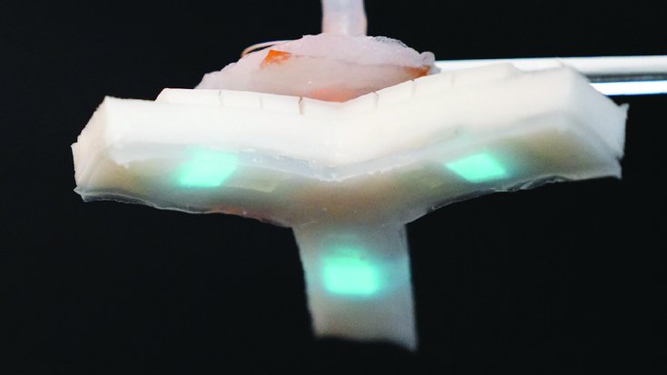 Robotergreifer aus leuchtendem Gummi