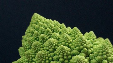 Romanesco