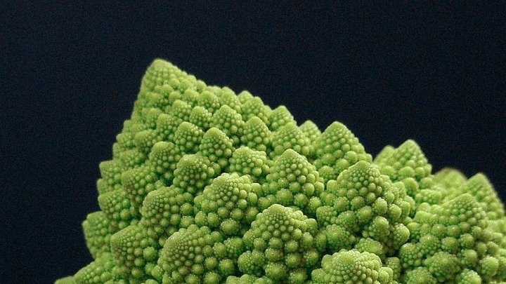 Romanesco