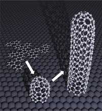 Das Mikroskopbild zeigt 3 Stufen des Zuchtprozesses eines Nanoröhrchens. Auf einer genoppten Fläche, dem Substrat liegt links oben das zweidimensionale Gerüst aus regelmäßigen Sechsecken, links unten das daraus ins Dreidimensionale aufgeblähte kleine Röhrchen. Rechts mittig ist das ausgewachsene Röhrchen zu sehen.