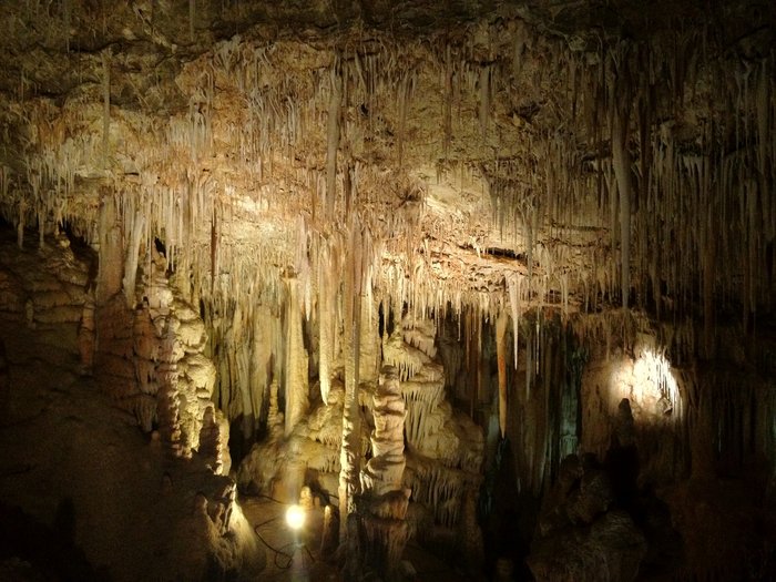 In einer dunklen Höhle werden durch eine Lichtquelle die nach unten hängenden Formationen von der Decke einer Tropfsteinhöhle gezeigt.