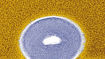 Querschnitt eins Nanoröhrchens