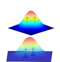 Proben unter dem Fluoreszenzmikroskop