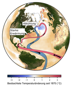 Landkartenansicht von Nord- und Südamerika, mit roten und blauen, geschwungenen Linien wird die Fließrichtung des Golfstroms angezeigt