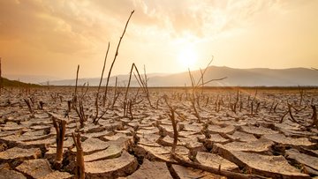 Im Vordergrund ein durch Trockenheit brüchig gewordener Boden, in dem dürre Pflanzen stecken; im Hintergrund eine gleißende Sonne.