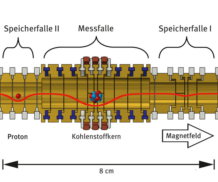 Das Bild zeigt den schematischen Aufbau des Penning-Fallenturms. In der Mitte befindet sich die Messfalle, an die links und rechts eine Speicherfalle grenzt. In der Messfalle befindet sich ein Kohlenstoffkern und links in der Speicherfalle ein Proton. Durch ein elektrisches und magnetisches Feld, werden die Teilchen in der Falle gehalten.