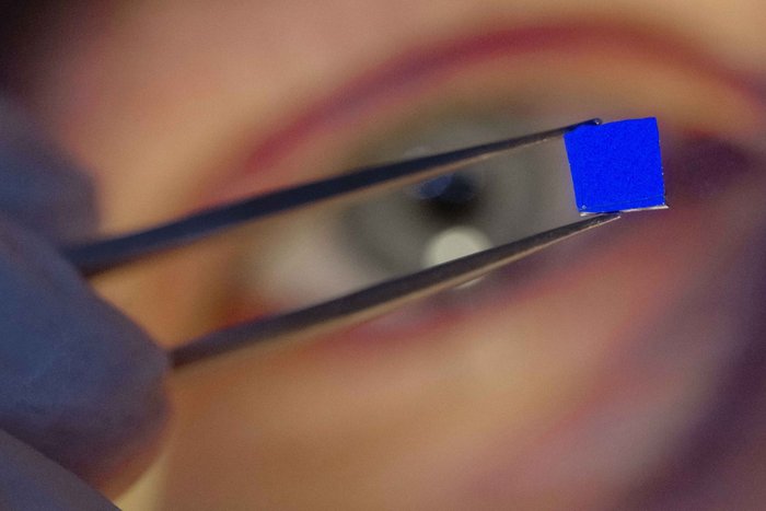 Probe Metallenes Blättchen von einer Pinzette gehalten