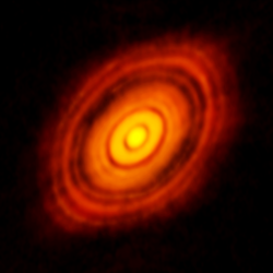 Eine kreisrunde Scheibe, sichtbar sind eine Reihe konzentrischer heller Ringe, getrennt durch dunkle Lücken. 