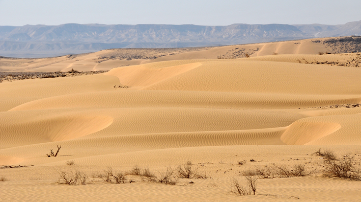 Das Bild zeigt die Wüste Negev. Auf den Sanddünen sind kleine Rippel.