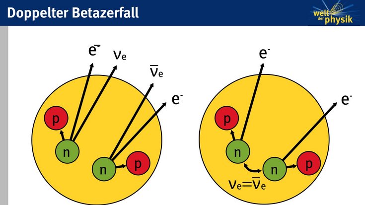 Doppelter Betazerfall