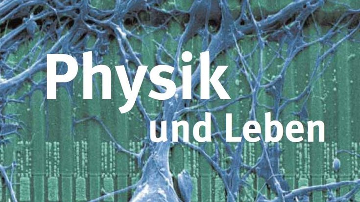 Logo Highlights der Physik 2001