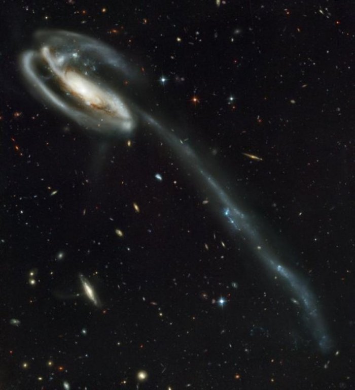 "Kaulquappen"-Galaxie "Kaulquappen"-Galaxie