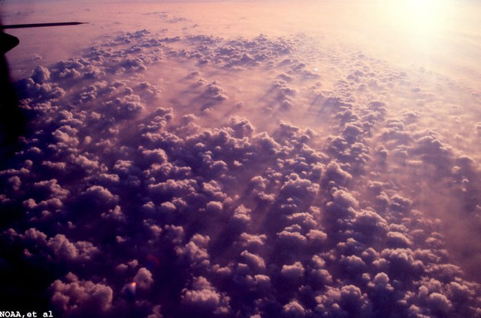 Areal von Cumuluswolken Aus einem Flugzeug fotografiert, erkennt man hier ein ausgedehntes Areal mit kleinen Cumuluswolken. Der Rückkopplungseffekt von Cumuluswolken bereitet Klimaforschern besonders große Schwierigkeiten.