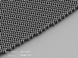 Schwarz-Weiß-Aufnahme einer Metalinse mit regelmäßig angeordneten dominosteinähnlichen Nanoflossen