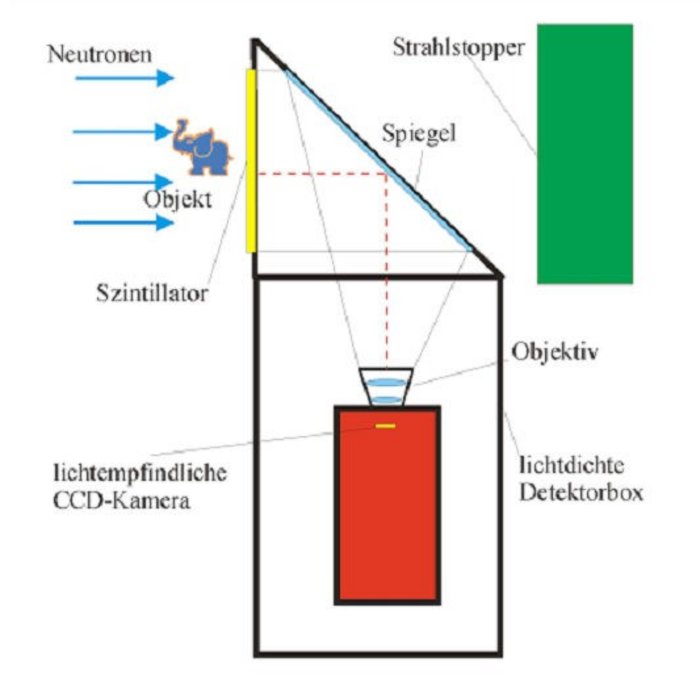 Schematische Darstellung: Neutronenstrahlen durchdringen von links nach rechts ein Objekt (ein Spielzeugelefant), werden an einem schräg stehenden Spiegel nach unten gespiegelt und treffen unten in eine lihtempfindliche CCD-Kamera, die in einer lichtdichten Detektorbox eingeschlossen ist. Rechts vom Spiegel befindet sich ein Strahlstopper, der als langestrecktes grünes Rechteck dargestellt ist.