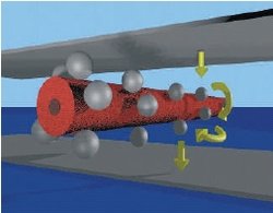 Transistor mit Tabakmosaikvirus