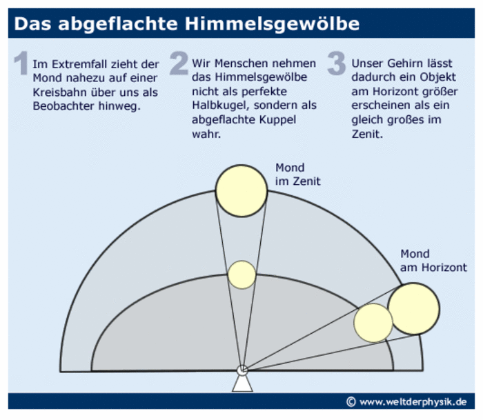 Im Extremfall zieht der Mond nahezu auf einer Kreisbahn über uns als Beobachter hinweg. Wir Menschen nehmen das Himmelsgewölbe nicht als perfekte Halbkugel, sondern als abgeflachte Kuppel wahr. Unser Gehirn lässt dadurch ein Objekt am Horizont größer erscheinen als ein gleich großes im Zenit.
Die Infografik zeigt einen Mond auf einer Kreisbahn und Projektionen des Mondes auf ein abgeflachtes Himmelsgewölbe. Die Projektion des Mondes am Horizont ist größer als die Projektion des Mondes im Zenit.