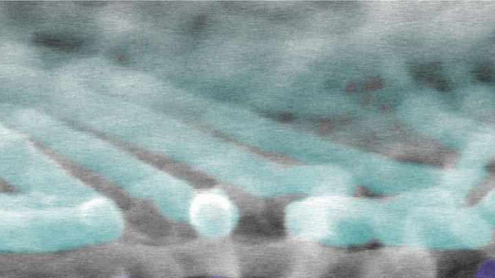 Nanostrukturen unter dem Rasterelektronenmikroskop
